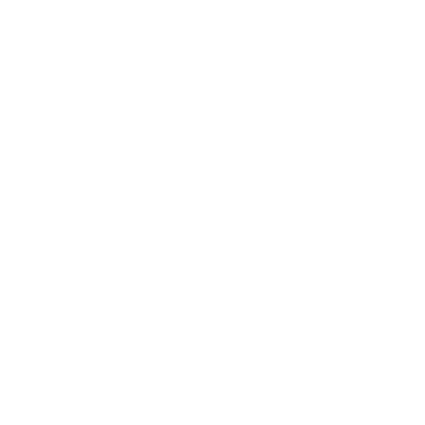 Car Owner